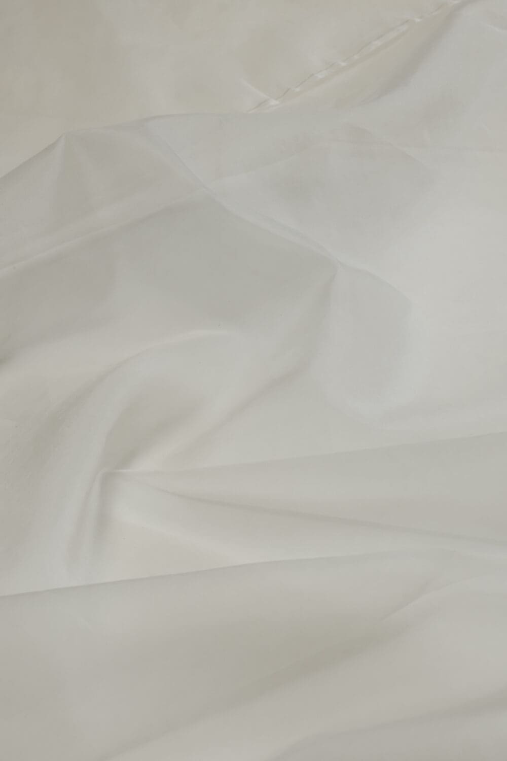 Silk Organza | 22gm - Image 2