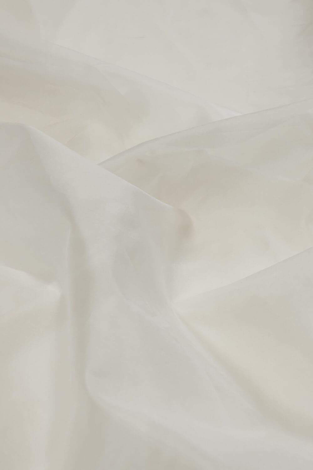 Silk Organza | 40 gm - Image 2