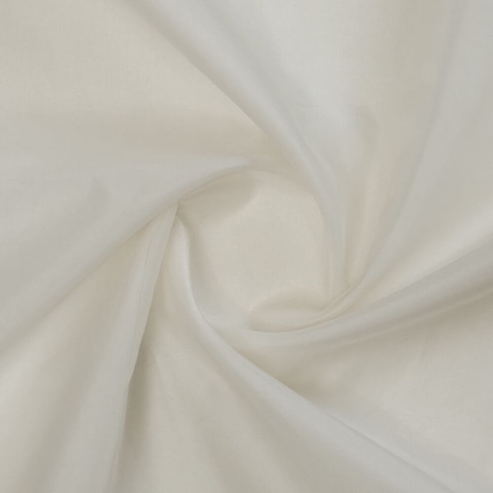 Silk Organza | 40 gm