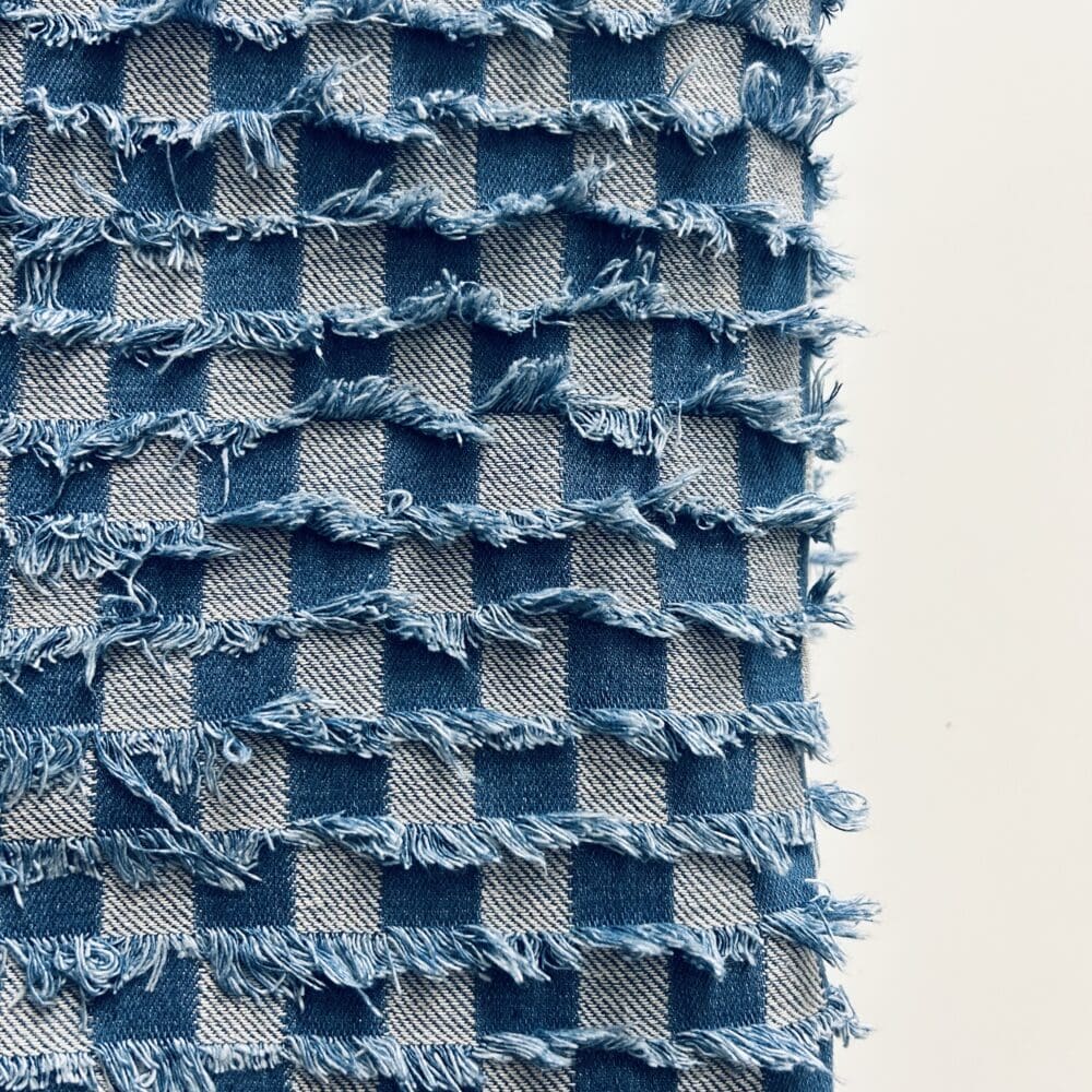 IMG_2176 Denim Fabric