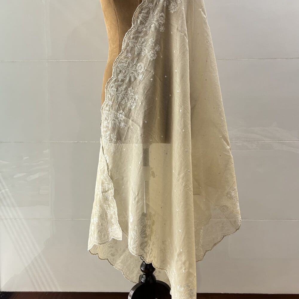 IMG_2494 Chanderi Tissue Dupatta