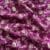 Dark/Rani Pink