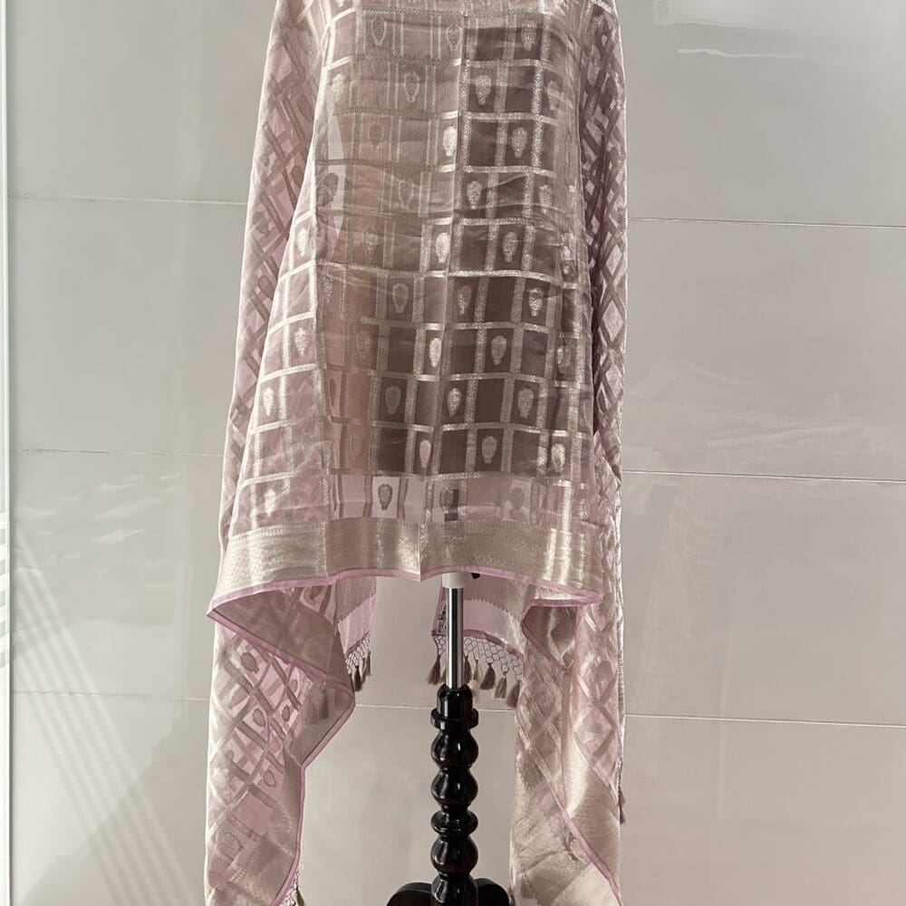 IMG_2520 Silk Tissue Dupatta