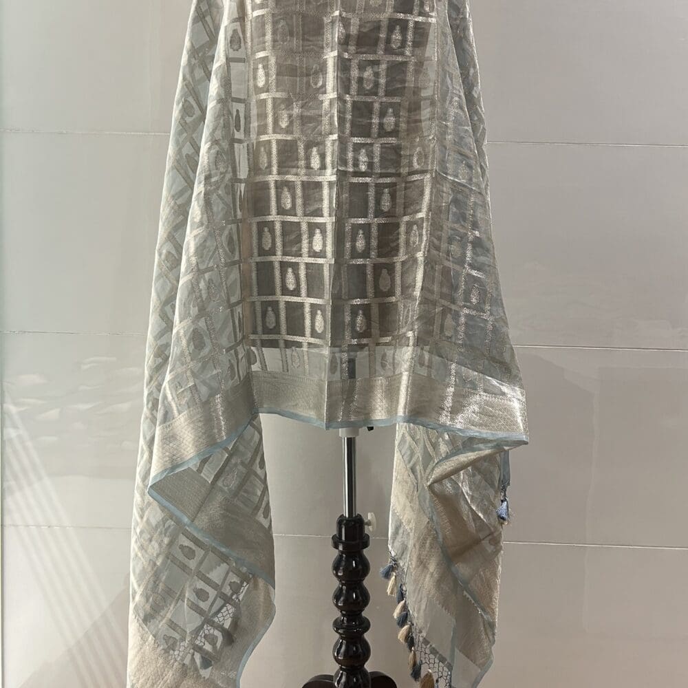 IMG_2533 Silk Tissue Dupatta