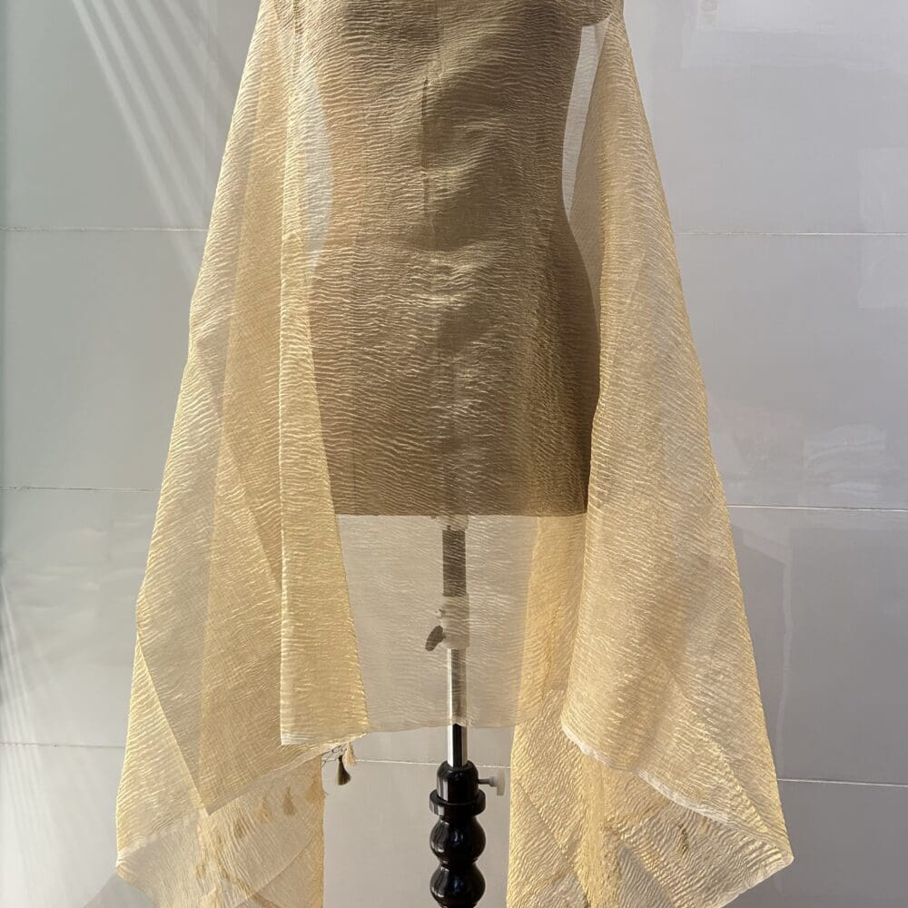 IMG_2950 Crushed Silk Tissue Dupatta