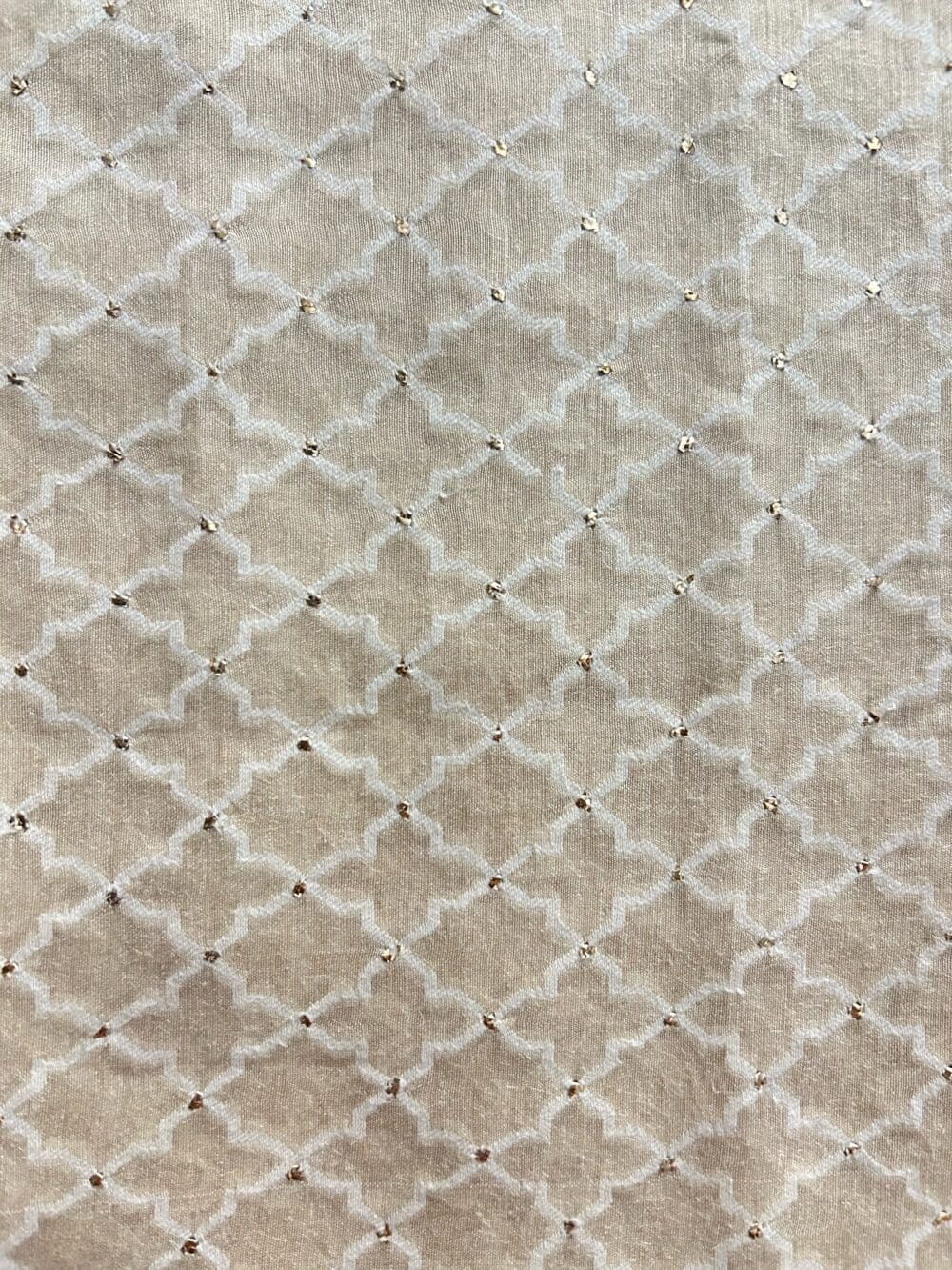Silk Munga Mukaish Cutwork - Image 3