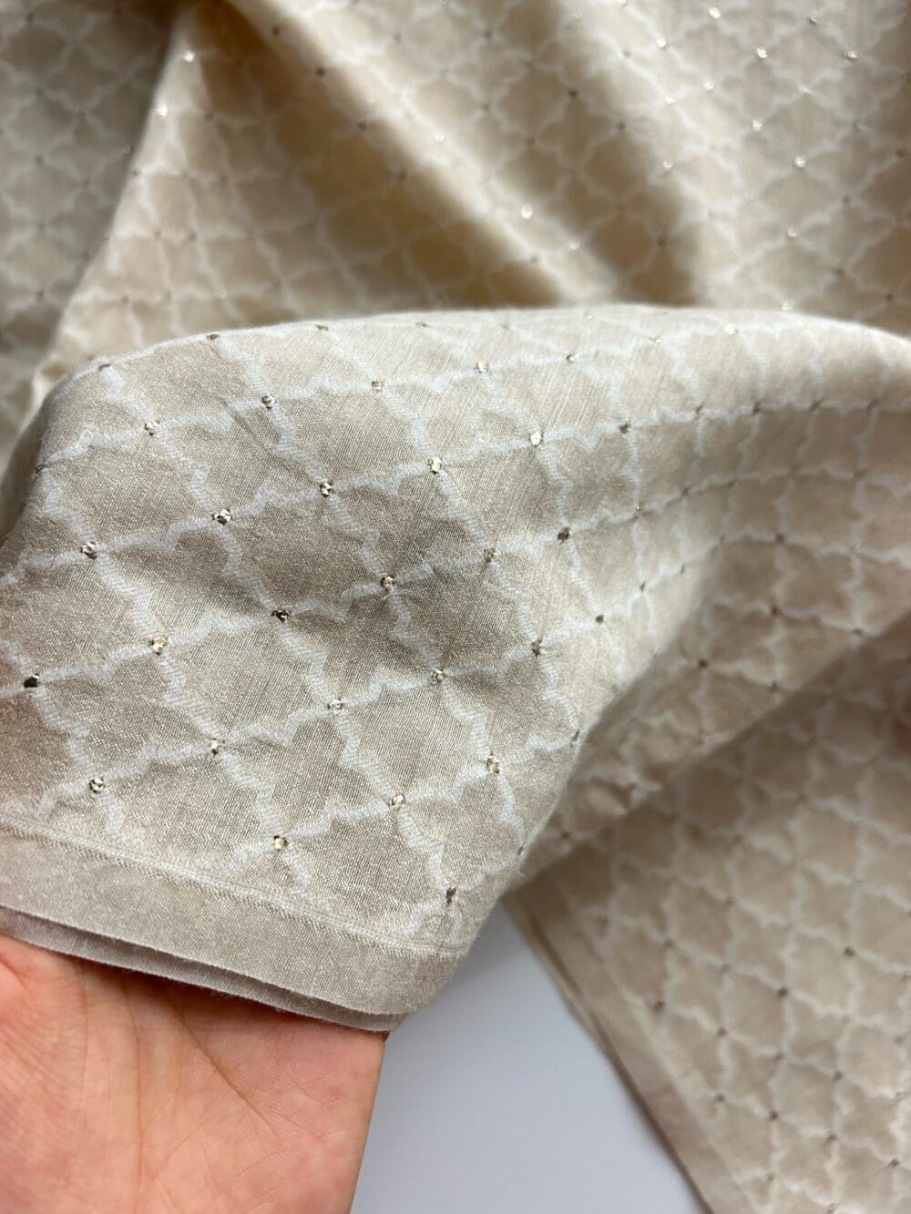 Silk Munga Mukaish Cutwork - Image 4